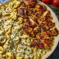 Easy Creamy Velveeta Chicken Tortellini with Mozzarella Garlic Sauce One-Pot Dinner