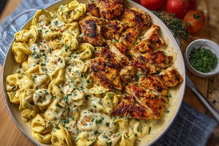 Easy Creamy Velveeta Chicken Tortellini with Mozzarella Garlic Sauce One-Pot Dinner