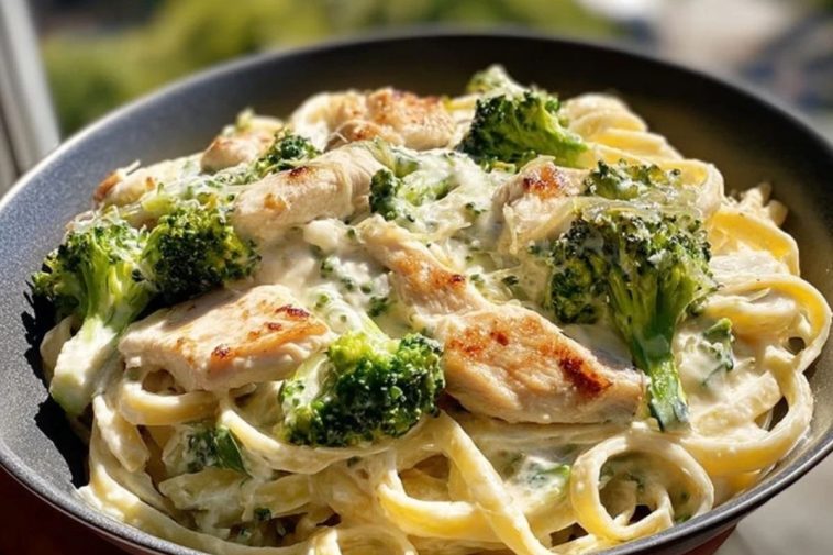 Creamy Chicken Broccoli Alfredo Pasta