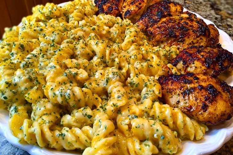 Creamy Garlic Butter Chicken and Rotini in Parmesan Sauce