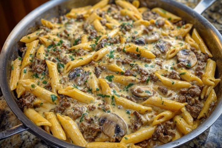 Creamy Velveeta Beef Stroganoff and Penne Pasta