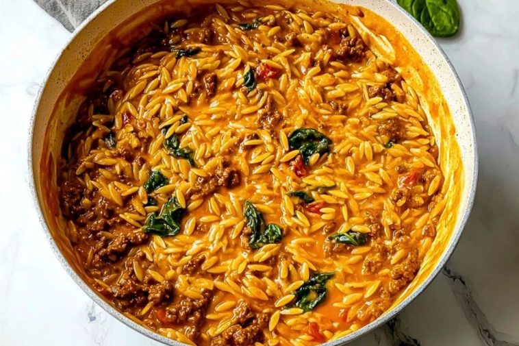 Delicious Ground Beef Orzo with Tomato Cream Sauce