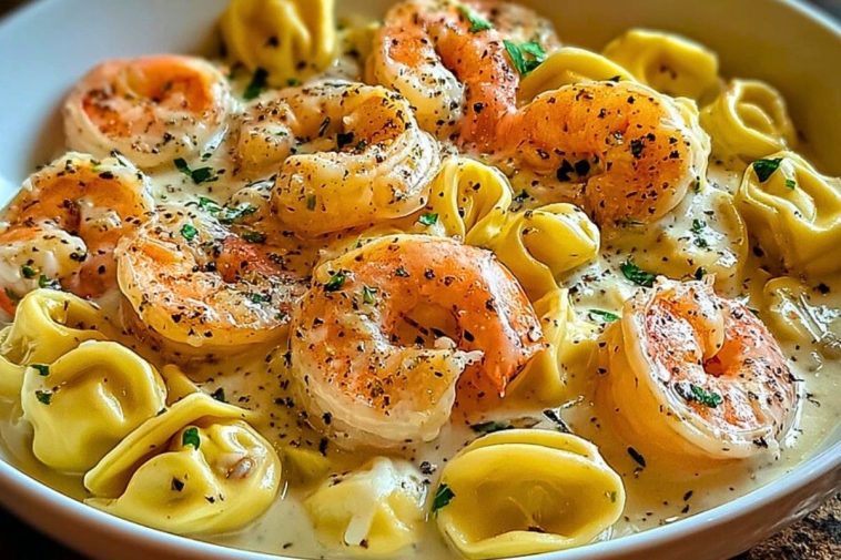 Creamy Tortellini Shrimp Alfredo Delight